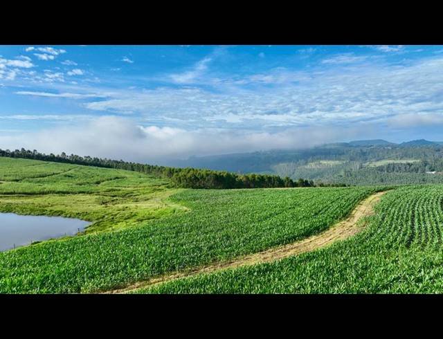 LAND FOR SALE IN MOUNT VERDE